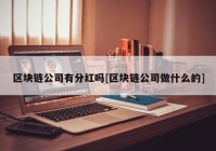 区块链公司有分红吗[区块链公司做什么的]