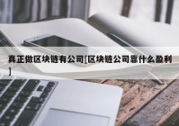 真正做区块链有公司[区块链公司靠什么盈利]